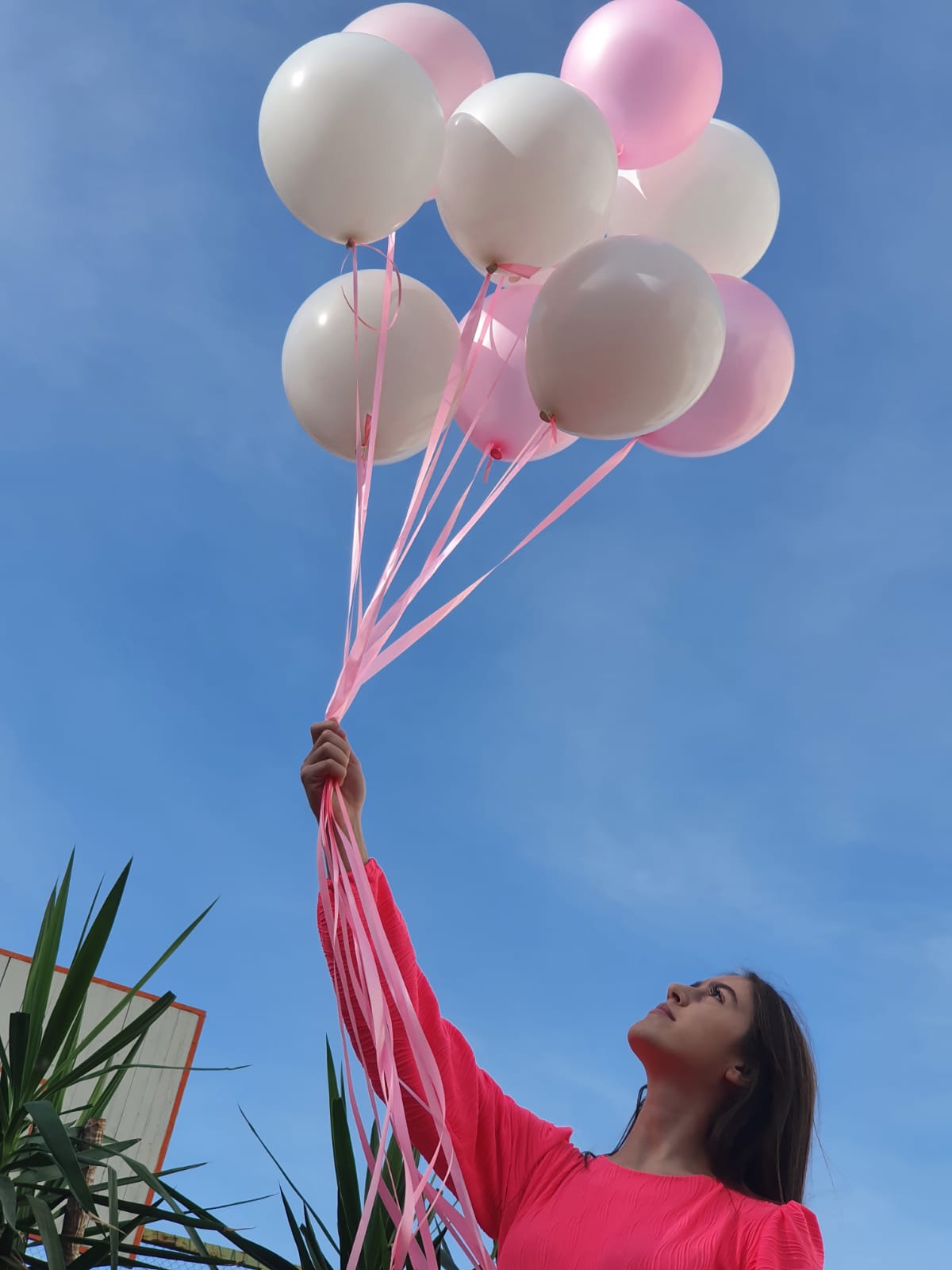 Vulnerability Assessment