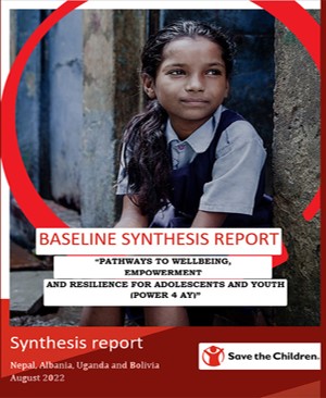 Baseline Synthesis Report