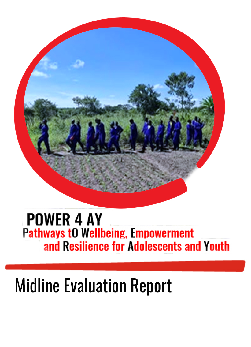 Midline Evaluation Report